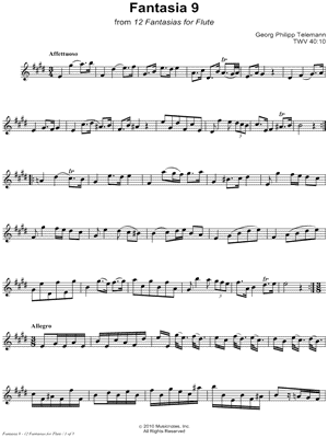 12 Fantasias for Flute: 9. Fantasia in E Major