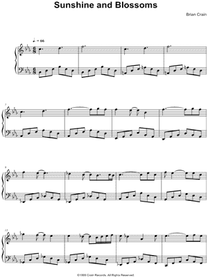 Sunshine and Blossoms