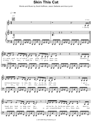 Skin This Cat