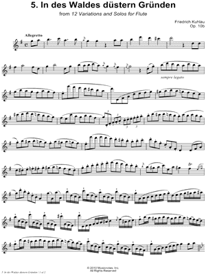 12 Variations & Solos for Flute, Op. 10b: 5. In Des Waldes Düstern Gründen