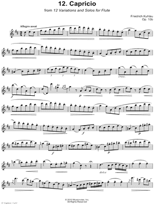12 Variations & Solos for Flute, Op. 10b: 12. Capricio