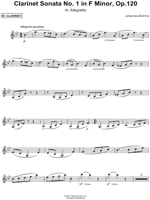 Clarinet Sonata No. 1 In F Minor, Op. 120: III. Allegretto - Clarinet