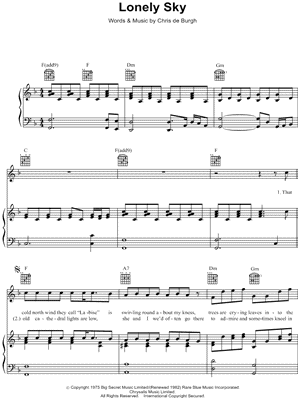 Lonely Sky