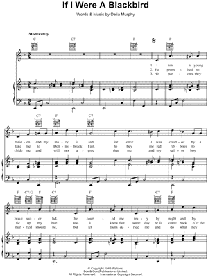 If I Were a Blackbird