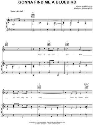 Gonna Find Me a Bluebird