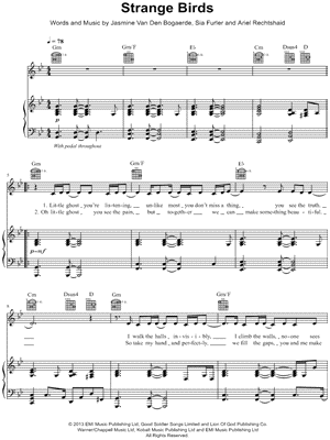 Strange Birds