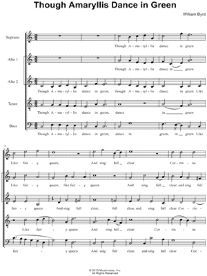 Though Amaryllis Dance In Green