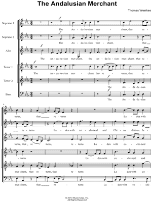 The Andalusian Merchant