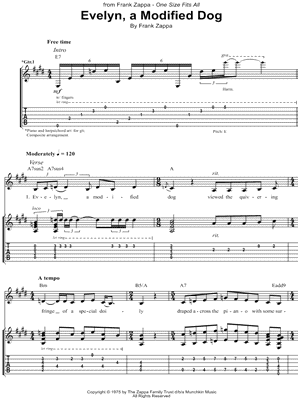 Evelyn, a Modified Dog