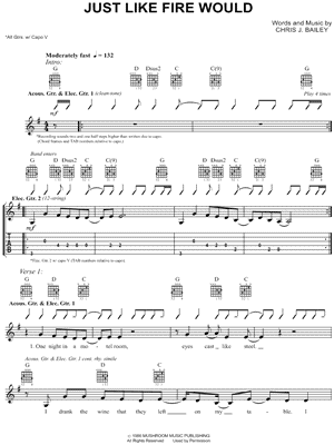 Just Like Fire Would