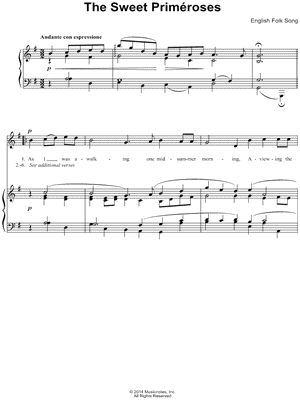 The Sweet Primeroses