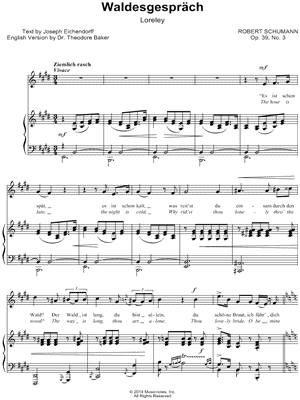 Liederkreis, Op. 39: III. Waldesgespräch