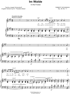 Liederkreis, Op. 39: XI. Im Walde