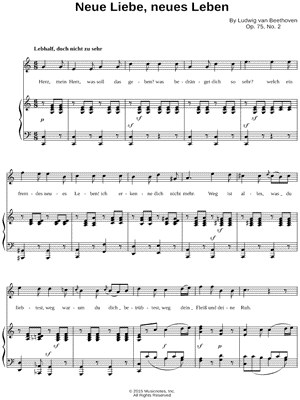 6 Gesänge, Op. 75: II. Neue Liebe, neues Leben