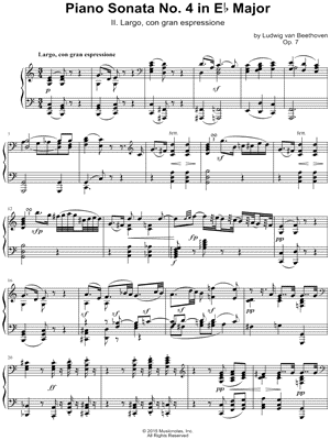Piano Sonata No. 4 in Eb Major, Op. 7: II. Largo, con gran espressione