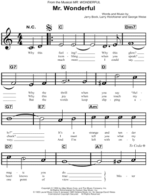 Mr. Wonderful