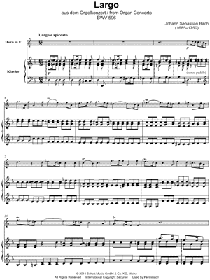 Largo from Organ Concerto in D Minor, BWV 596