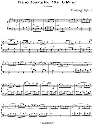 Piano Sonata No. 19 in G Minor: I. Andante