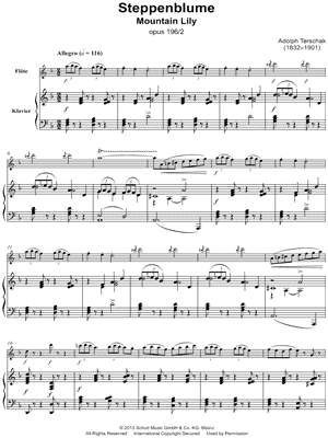 Steppenblume, Op. 196, No. 2 - Flute & Piano