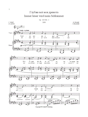 Immer Leiser Wird Mein Schlummer