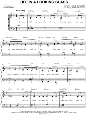 Life in a Looking Glass