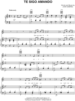 Te Sigo Amando