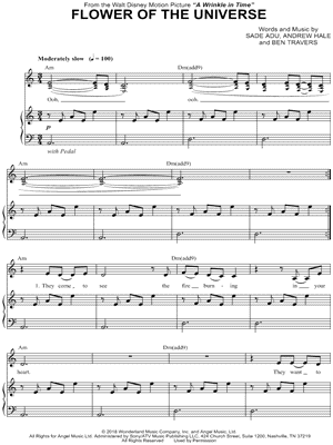 Flower of the Universe