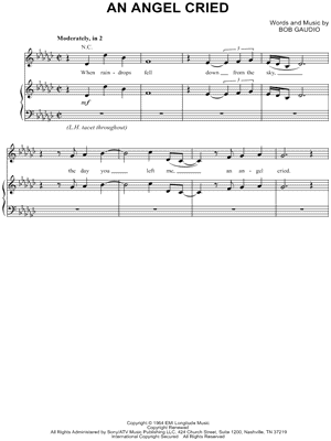 raindrops (an angel cried)