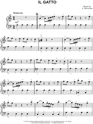Il gatto