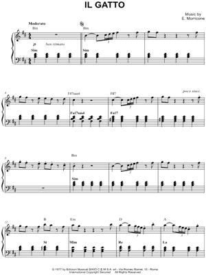 Il gatto