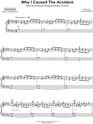 Why I Caused the Accident