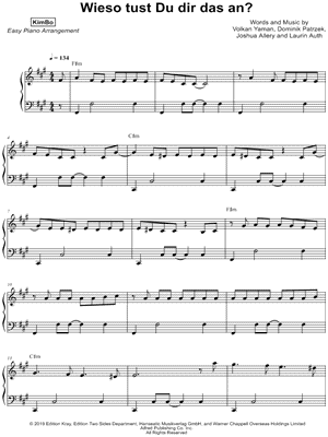 Wieso tust Du dir das an? [easy version]