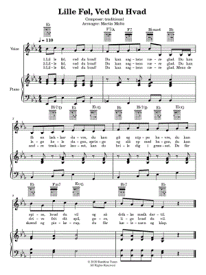 Lille Fol, Ved Du Hvad