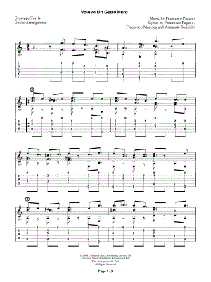 Volevo Un Gatto Nero