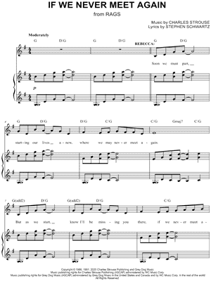 If We Never Meet Again