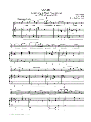 Flute Sonata in A Minor