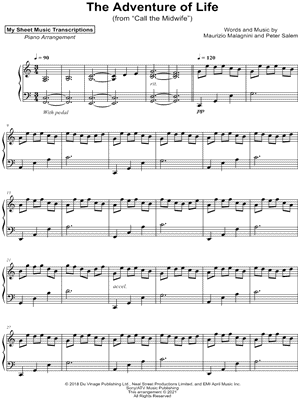 The Adventure of Life