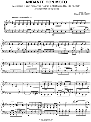Piano Trio No. 2 in Eb Major, Op. 100, D. 929: II. Andante con moto