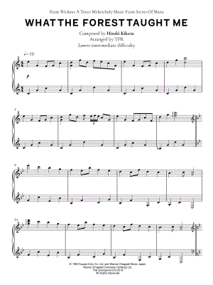 What the Forest Taught Me [lower intermediate]