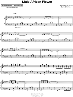 Little African Flower