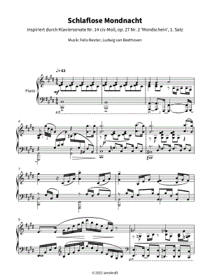 Schlaflose Mondnacht