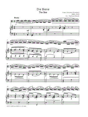 The Bee - Viola & Piano