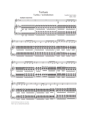 Tortues - Violin & Piano