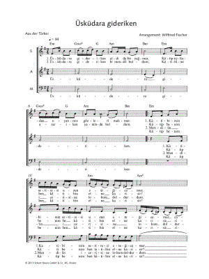 Üsküdara gideriken