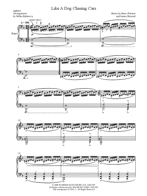 Like a Dog Chasing Cars