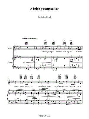 A Brisk Young Sailor