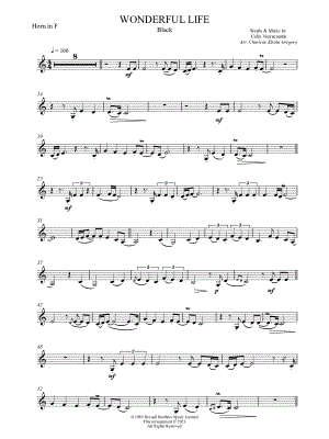 Wonderful Life [advanced]