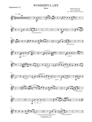 Wonderful Life [advanced]