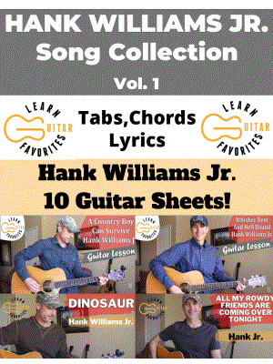 Hank Williams Jr. Song Collection - Vol. 1
