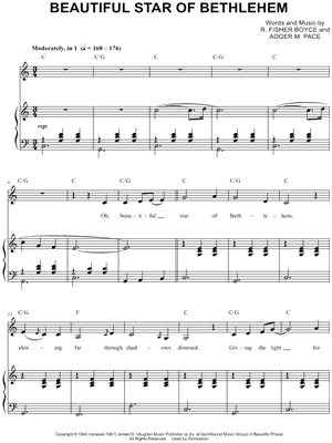 Beautiful Star of Bethlehem